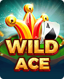 Wild Ace — Slots game on 777in